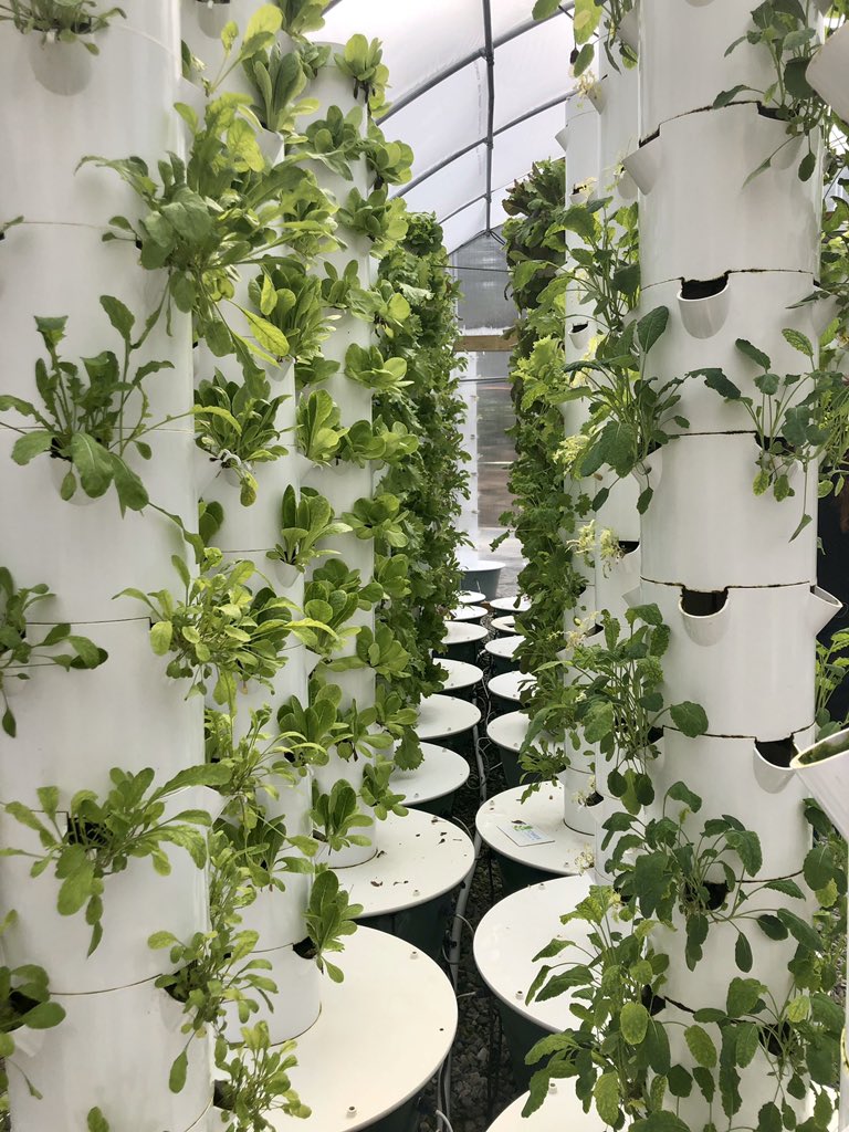 @triangleurbanfarms phenomenal field experience with @ArtyMECME <a href="/MEMScience/">Tracy Brumble</a> <a href="/NataviNatavi/">Natalie Avilez</a> <a href="/MECME_School/">MillbrookElem</a> @randibethjones <a href="/JMcGowanSci/">Jill McGowan</a>