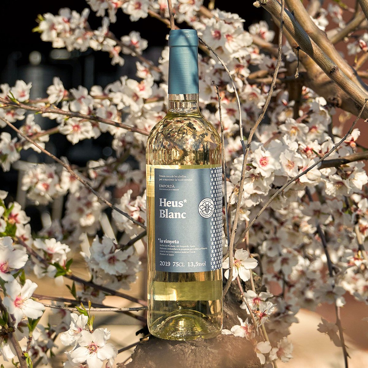 la_vinyeta's tweet photo. Estrenem l'#Heus* blanc 2019! Un #vi fresc, jovial, de varietats tradicionals de l’Empordà: Garnatxa blanca, Xareŀlo, Macabeu i Moscat. Un vi excel·lent per encetar aquesta primavera que ja es deixa veure en tot l'ecosistema de #laVinyeta! 😊 #heusblanc https://t.co/X94wYFm8zM
