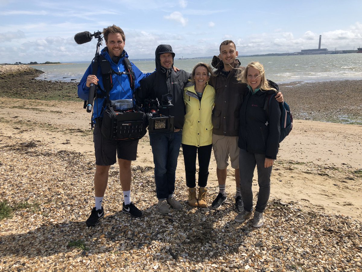 Solent Oyster Restoration Project tweet media