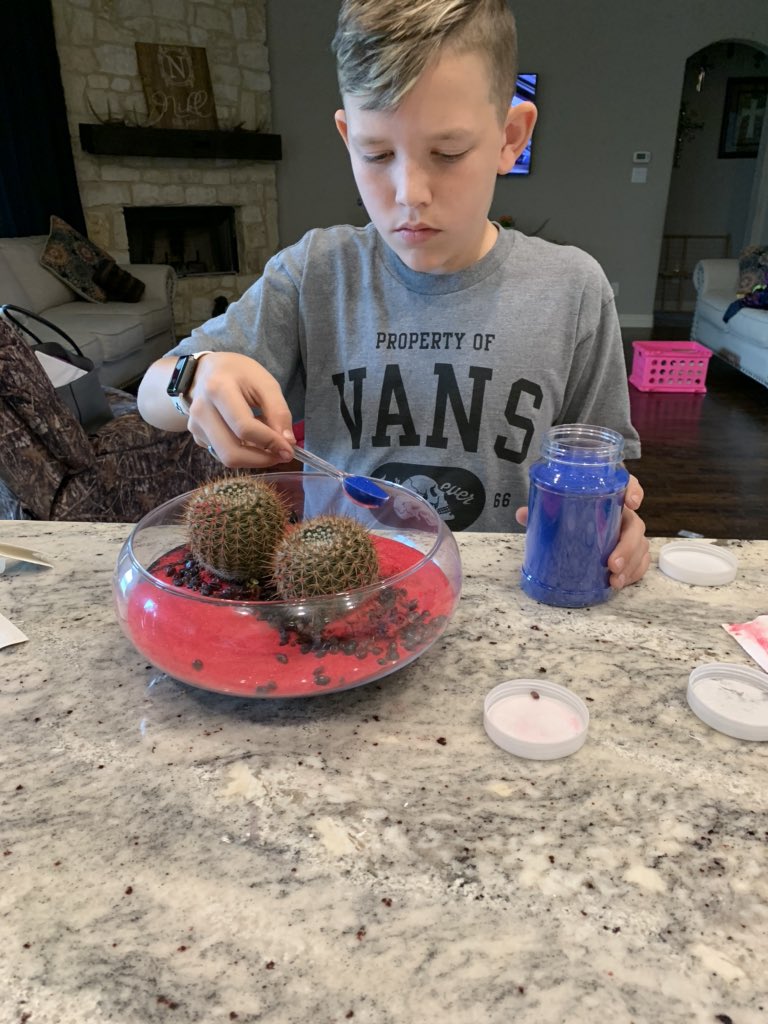 tashanikl's tweet photo. Planting with Nathan.  He designed his own little garden. #springbreakforLife. #funwithmom https://t.co/jJQ9VJ73WB