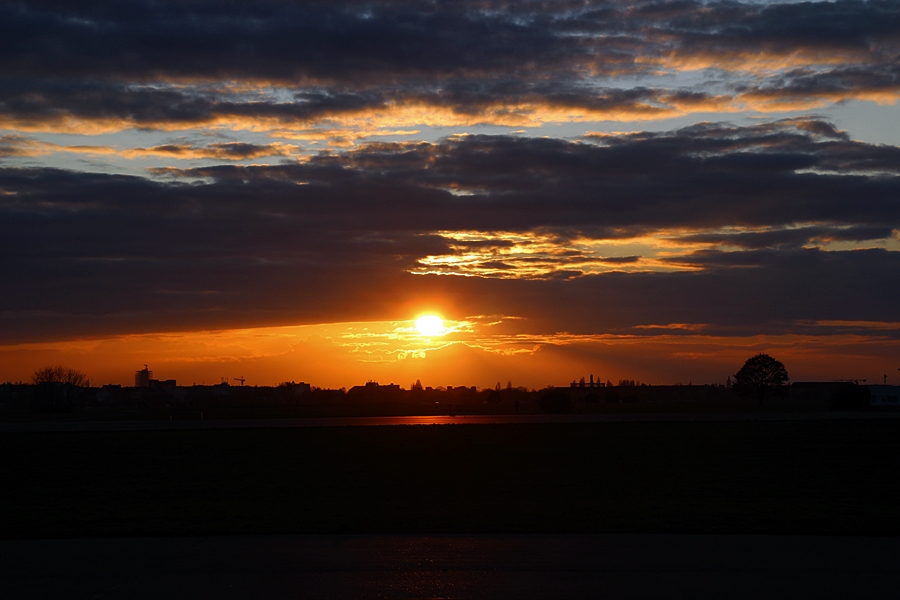 TheBerlinLive's tweet photo. diese unglaubliche stimmung auf dem #TempelhoferFeld bei schönen #Sonnenuntergängen ist einfach unglaublich ich kenne keinen anderen ort in #Berlin wo man sie besser beobachten kann einfach #magicmoments
#himmelüberberlin #wolkenbilder #berlinsky
@CIoudinee @Megmarple https://t.co/QJBWZWFtx2