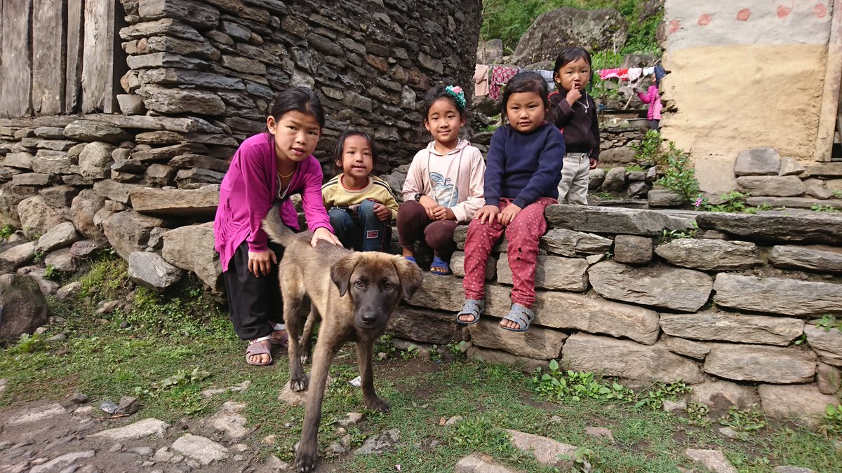 HimalayanMutts's tweet photo. Happy #InternationalWomensDay2020! Improving animal health means improving global health! Our vets and community supporters create a safer world for young women and their families living at the frontlines of dog-wildlife conflict in the #Himalaya. Thank you for all your support! https://t.co/xmidhVc6Xr