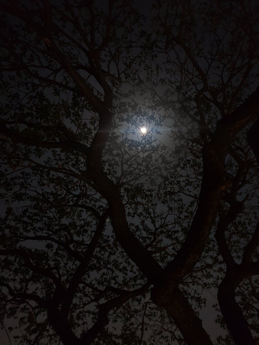 mohjo_007's tweet photo. Shot this right now hello #FullMoon #withgalaxy #shotonnote9 😇
@SamsungMobileUS @SamsungIndia https://t.co/BLQdvBRPbq