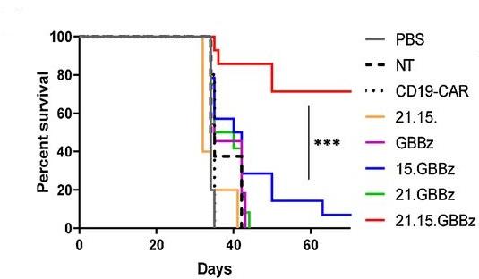 CIR_AACR's tweet photo. Co-expression of two #interleukins can improve the efficacy of #CARTcells in #HCC. Read on to find out more! @HeczeyLab https://t.co/0sJLZtXo3y #IL15
#IL21
#TCF1
#SolidTumors
#Glypican3 https://t.co/DsvZhgWX9f