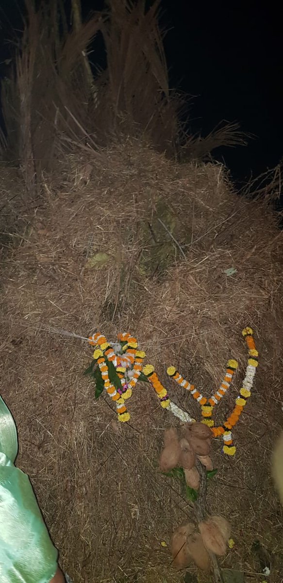 ATatkare's tweet photo. सहपरिवार होळीची पूजा व होलिका दहन विधी...
#HappyHoli #holyfire #holifire #Holi #Holi2020 #HappyHoli2020 https://t.co/sLwAy5pFNn