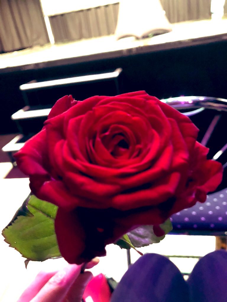 Denise Böhm tweet media