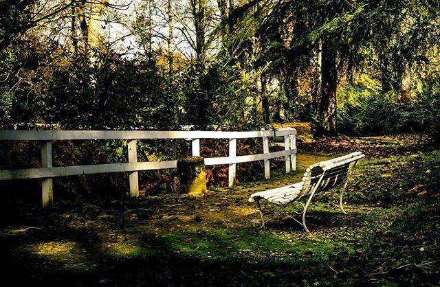 Igers_auch's tweet photo. vous présente son coup de 💚 du jour : faire une pause .
📸 : @hln_photographie merci pour cette photo !
.
#️⃣ Partagez vous aussi vos #photos du #gers avec #igersauch et #igersgers
.
✨ Sélectionnée par @alexandra.blc
.
✌🏼Team @igersauch : @laure32 &amp; @… https://t.co/zVb7zJf3LU https://t.co/9Pyp89GR5X