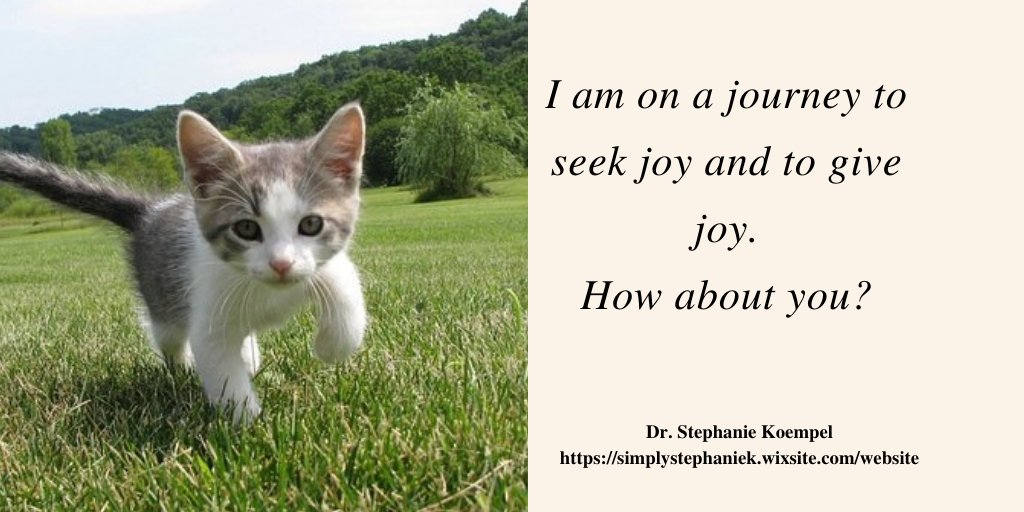 Dr Stephanie Koempel tweet media