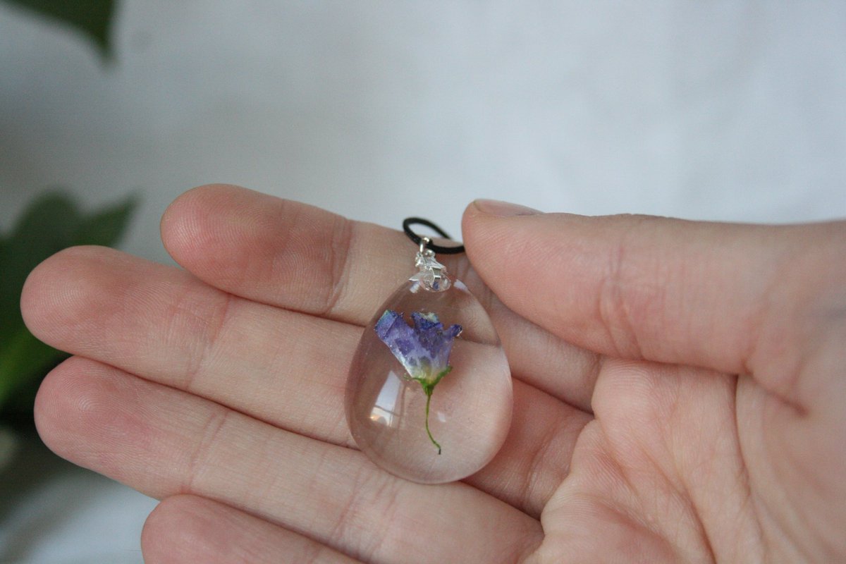 Bebekler                                                   Bebek