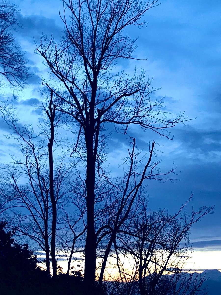 AlessandroForn6's tweet photo. PHOTO: "SUNSET IN TORINO" #arttwit #twitart #lamiatorino #iloveart #torino #iloveart #artlover #Turin #art #ilovetorino #photooftheday #photo #photography #sunset #PhotographyIsArt #artlovers https://t.co/CNO4skpbGN