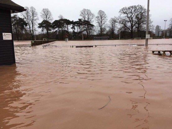 Paul Martin White tweet media