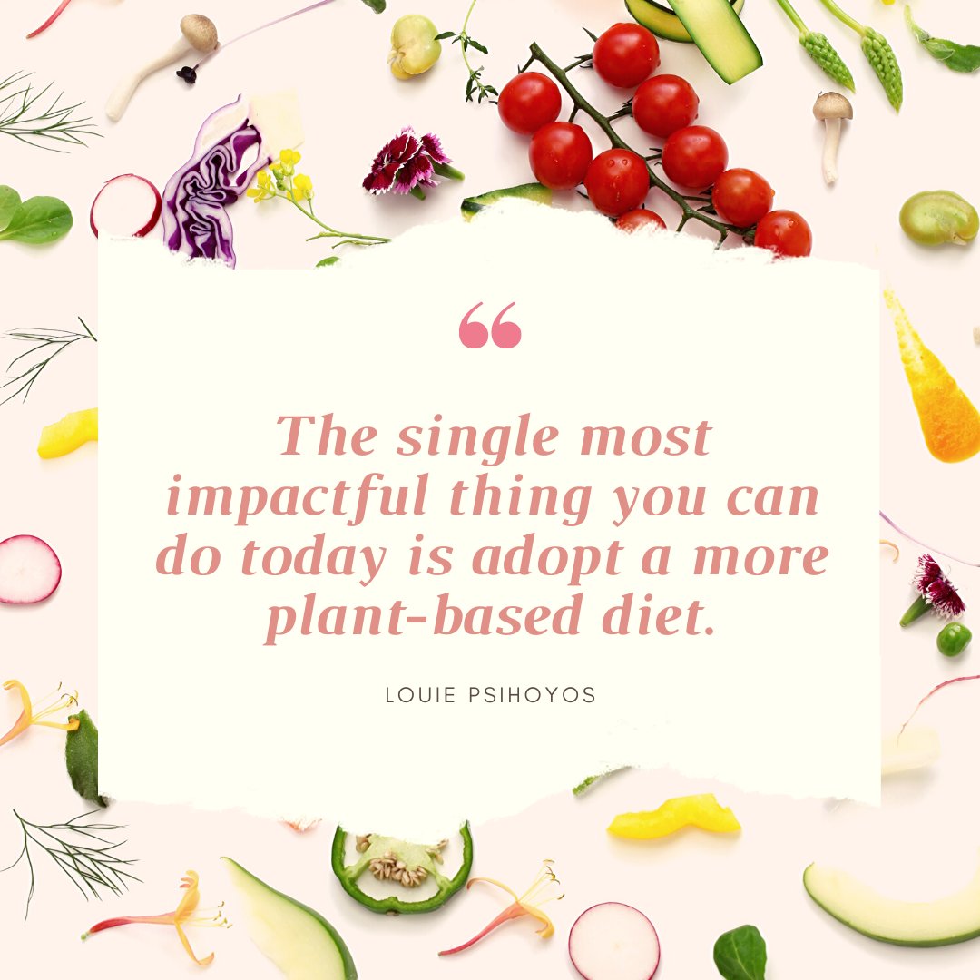 ReplenishEnergy's tweet photo. A plant-based diet can be beneficial for health 🤗 the welfare of animals 🐄 and lessens our environmental impact 🌎 

If you need help transitioning to a wfpb diet 🥗 grab a FREE copy of our eBook “Going Plant-Based” at https://t.co/LxAN6ghOgJ

#wfpb #HealthyEating #plantbased https://t.co/Gkilk3t0xl