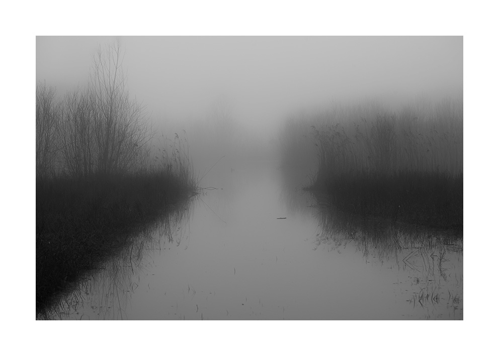 xaviermanrique's tweet photo. Les aigües són quietes, la memòria és fràgil. Un record.
Las aguas están tranquilas, la memoria es frágil. Un recuerdo.
#breusproject
#poetic #intim #bellesa #melangia #poemavisual
#estanysdesils
#romantic
#landscapephotography #naturephtography #fineartphotography
#xmanrique https://t.co/arxUnjfmxq