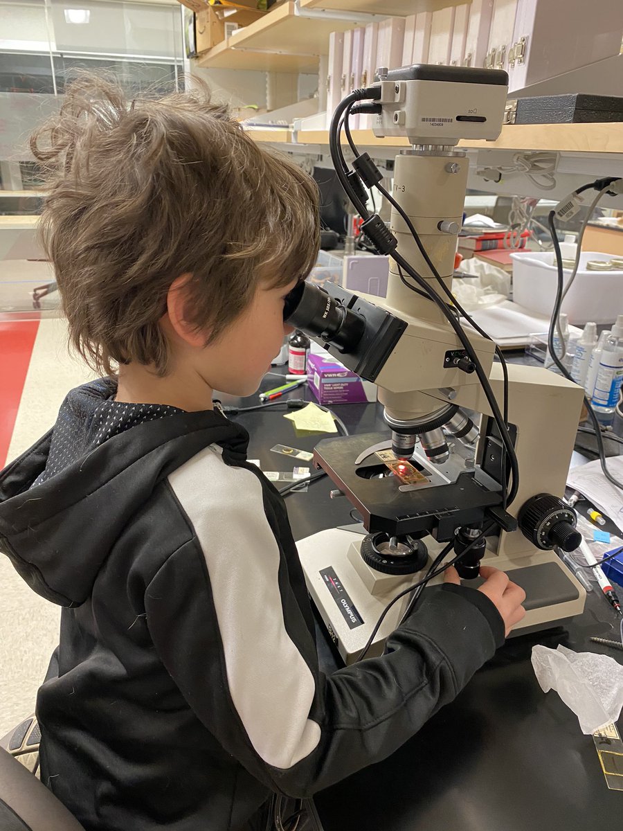 Sara O'Brien tweet media