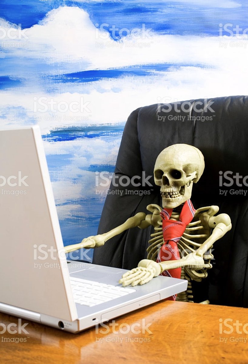 PHOENIX RISING tweet media