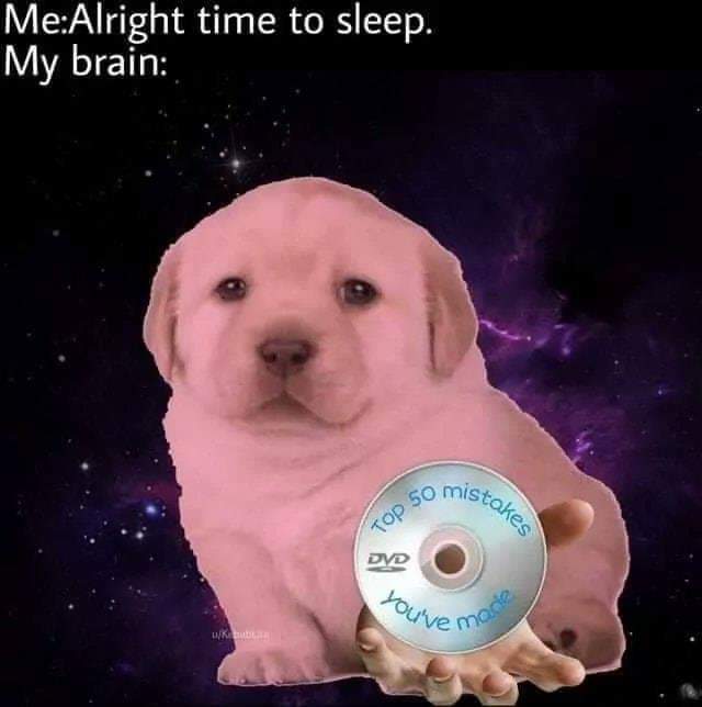 cinnamontoastk's tweet image. 🎈