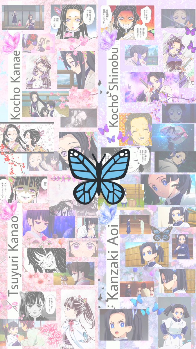 StarWing777's tweet photo. 🦋鬼滅の刃 壁紙🦋

フォロー＋RT→1枚💐

フォロー＋引用RT→4枚まで💐

欲しいキャラクターをリプにお願いします🌷

#鬼滅の刃 #蝶屋敷 #胡蝶カナエ #胡蝶しのぶ #栗花落カナヲ #神崎アオイ https://t.co/DBWWGMSkWi