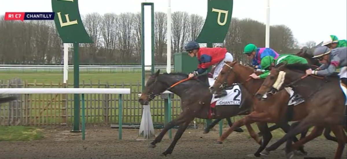 NicBellanger's tweet photo. 09/03/2020 Bonne rentrée de KADNIKOV @crystal_miette , 3ème @fgchantilly . 
#ecuriebellanger #Kadnikov https://t.co/lIgPWk6jYV