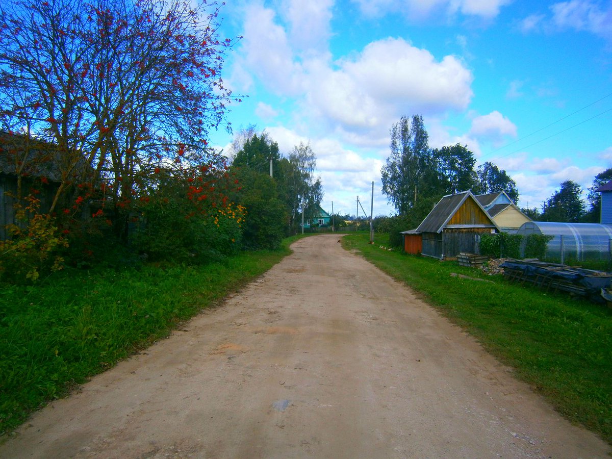 simonovkvramble's tweet photo. #Russia, #Leningrad Region, #Luga District, Village #Pristan. View of the village / #Россия, #Ленинградская Область, #Лужский Район, Деревня #Пристань. Вид на деревню https://t.co/f8D6FbQWWc