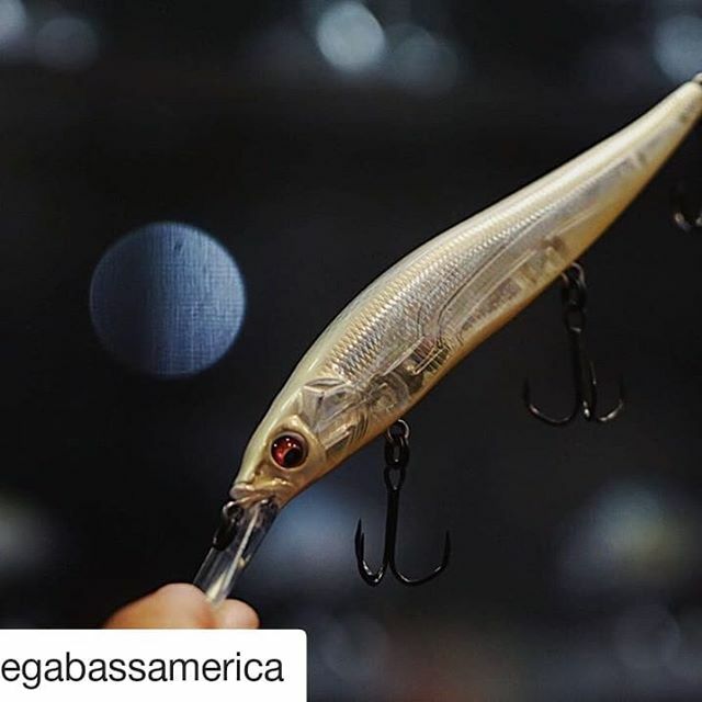 theoMBusa's tweet photo. #Repost @megabassamerica (@get_repost)
・・・
BREAKING NEWS: We just might rename this Vision Oneten+1 #undisclosedjerkbait 🤐 #bassmasterclassic
.
Congratulations @hankcherryfishing ! Stoked to see you hoist the 🏆 after watching you come so close in… https://t.co/kkYShsDIX1 https://t.co/eja2vAh5JH