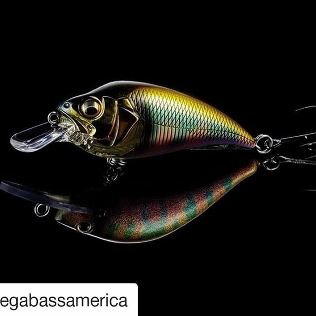 theoMBusa's tweet photo. #Repost @megabassamerica (@get_repost)
・・・
Something wicked this way comes 😈 Introducing the SUPER Z1 and Z2 cranks powered by our revolutionary LBO II(PAT.) balancer system. The 2in. long Z1 dives to 6ft and the Z2 to 10. 🐟 bites have never look… https://t.co/v9rgrGVnsy https://t.co/BShhaT30c5
