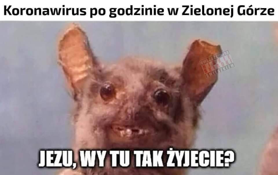 mwitcz's tweet photo. Może i nie wiadomo co przyniesie przyszłość. Wiadomo jednak, że Polska jest nadal najweselszym barakiem w Europie i jakoś to będzie. #PL100pro https://t.co/ZeHsarlNfm