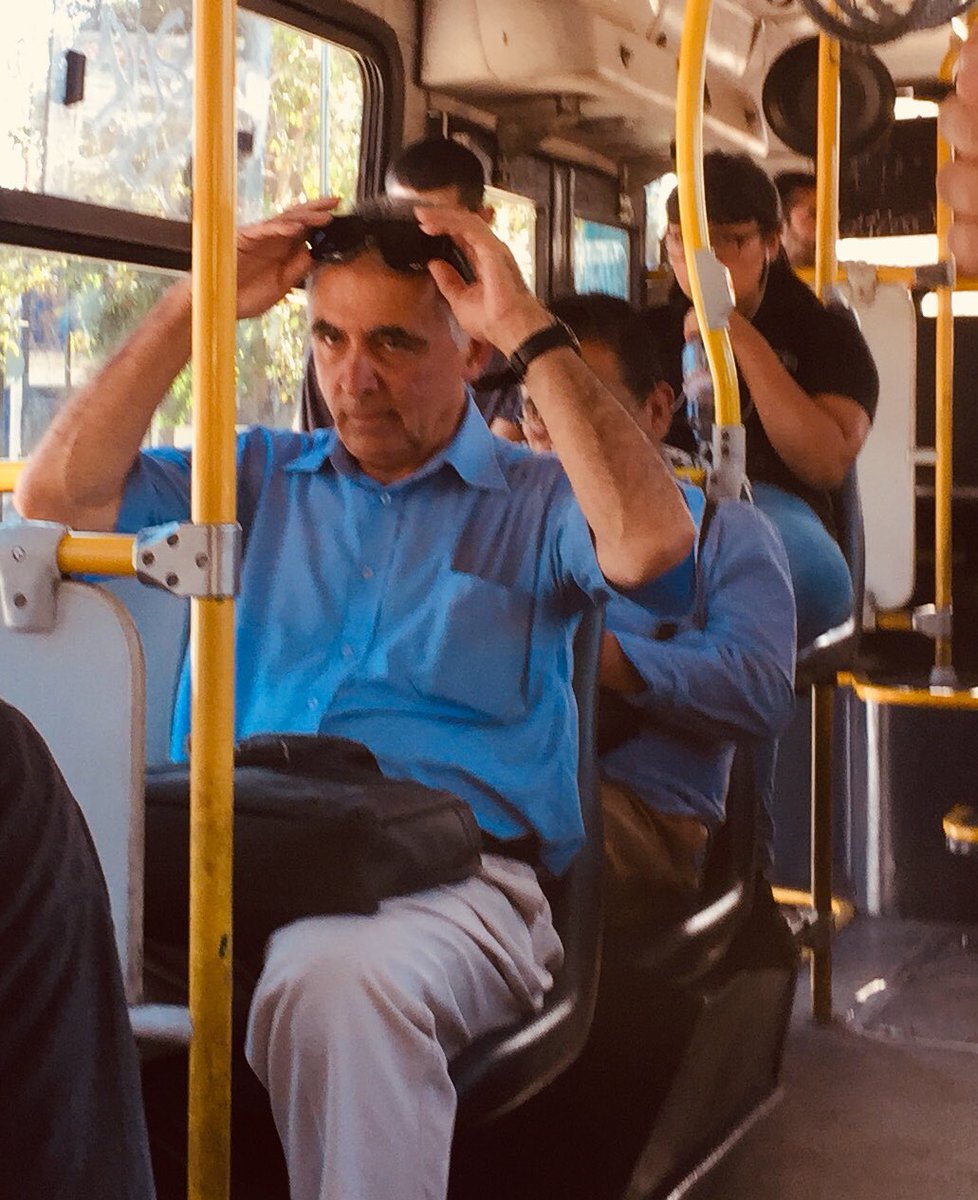 María Zegers tweet media