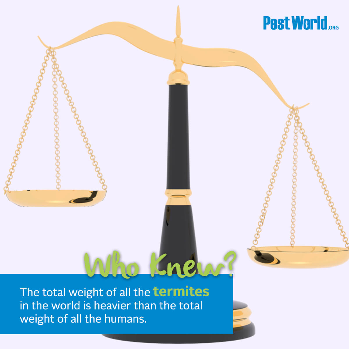 That's heavy! Learn how to prevent these silent destroyers from taking a bite out of your home: bit.ly/386H2jy #TermiteAwarenessWeek #Termites