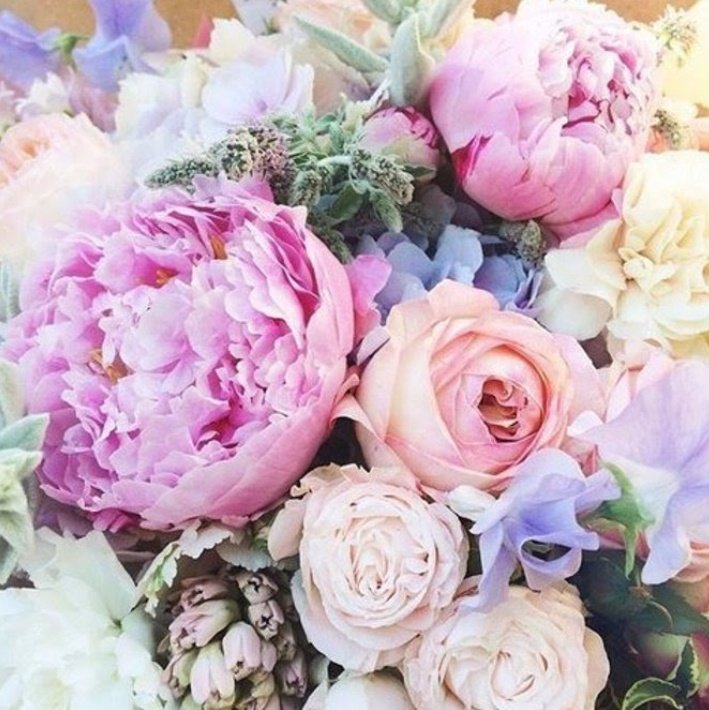 The Royal Hotel tweet media