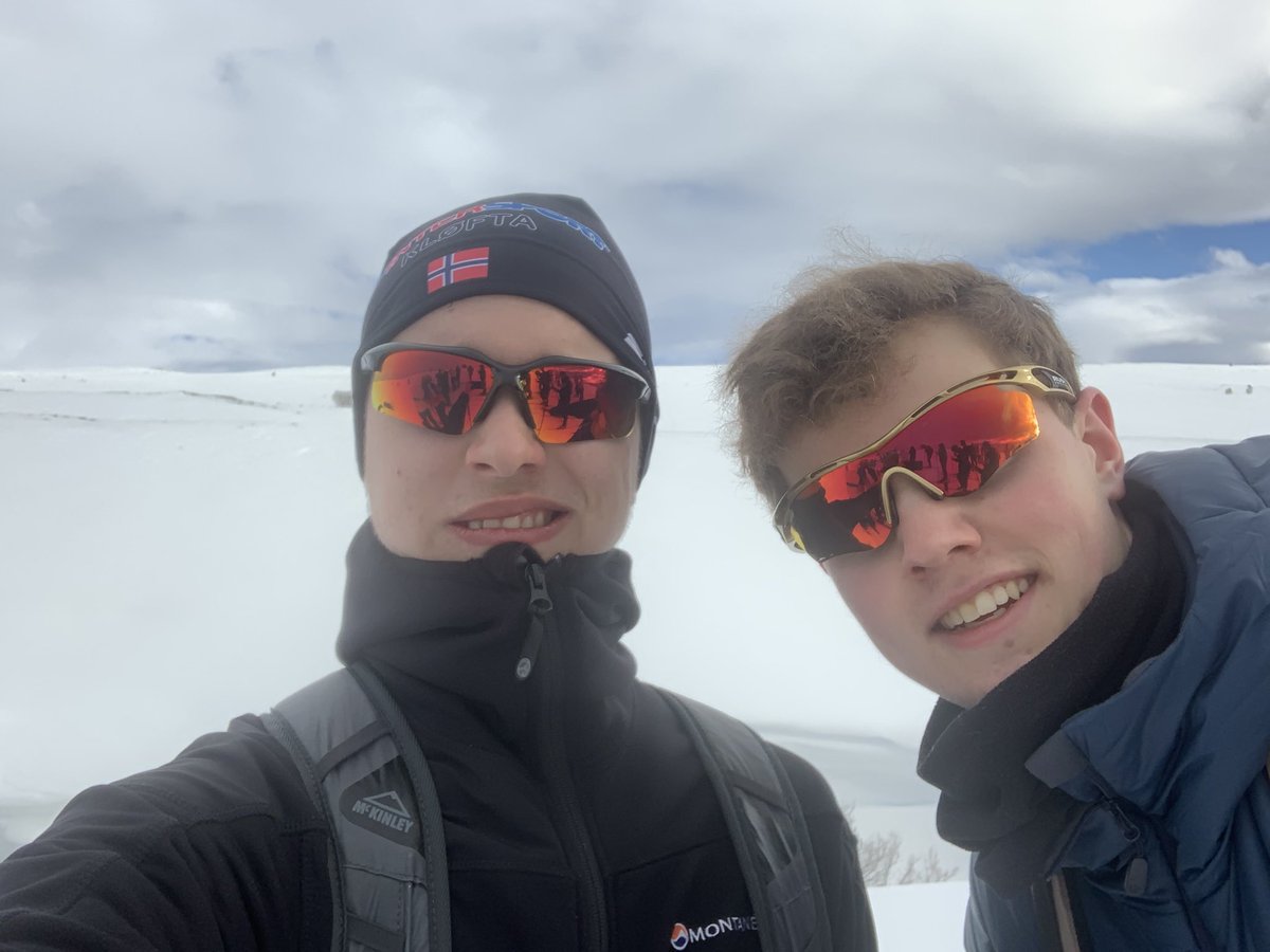 Wienerpols tweet media