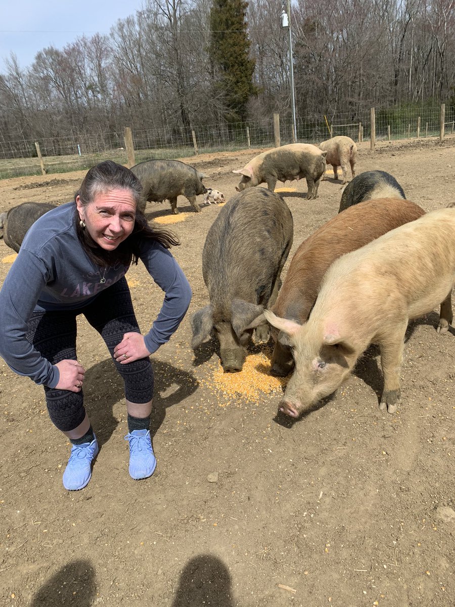 3CReyes's tweet photo. Visit a farm. #springbreakbingo the piglets were cute but fast. 600 head of hog #lakeside1920 https://t.co/xlWlUOsUFr