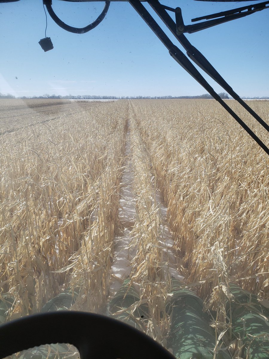 Jon Dickson tweet media