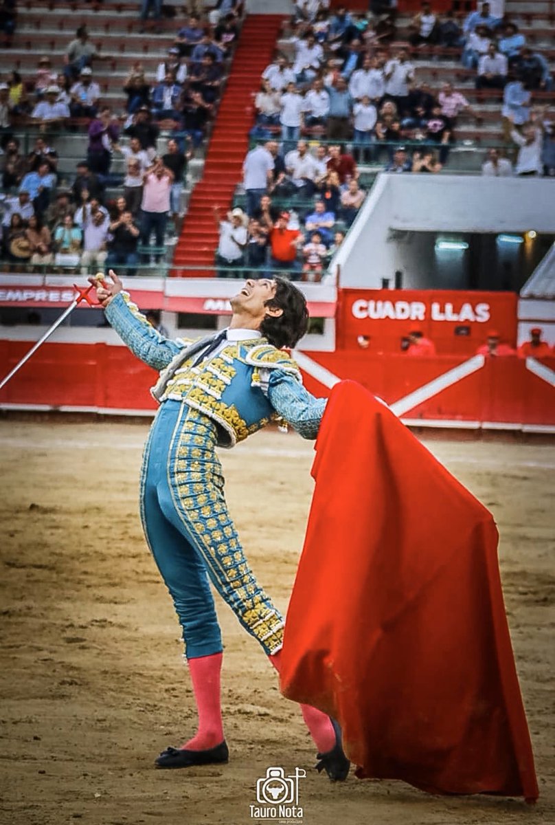 6ArroyoZarco6's tweet photo. Cuando una expresión dice mas que mil palabras @infoCastella 
📸 @TauroNota https://t.co/eBbYbCWpEL