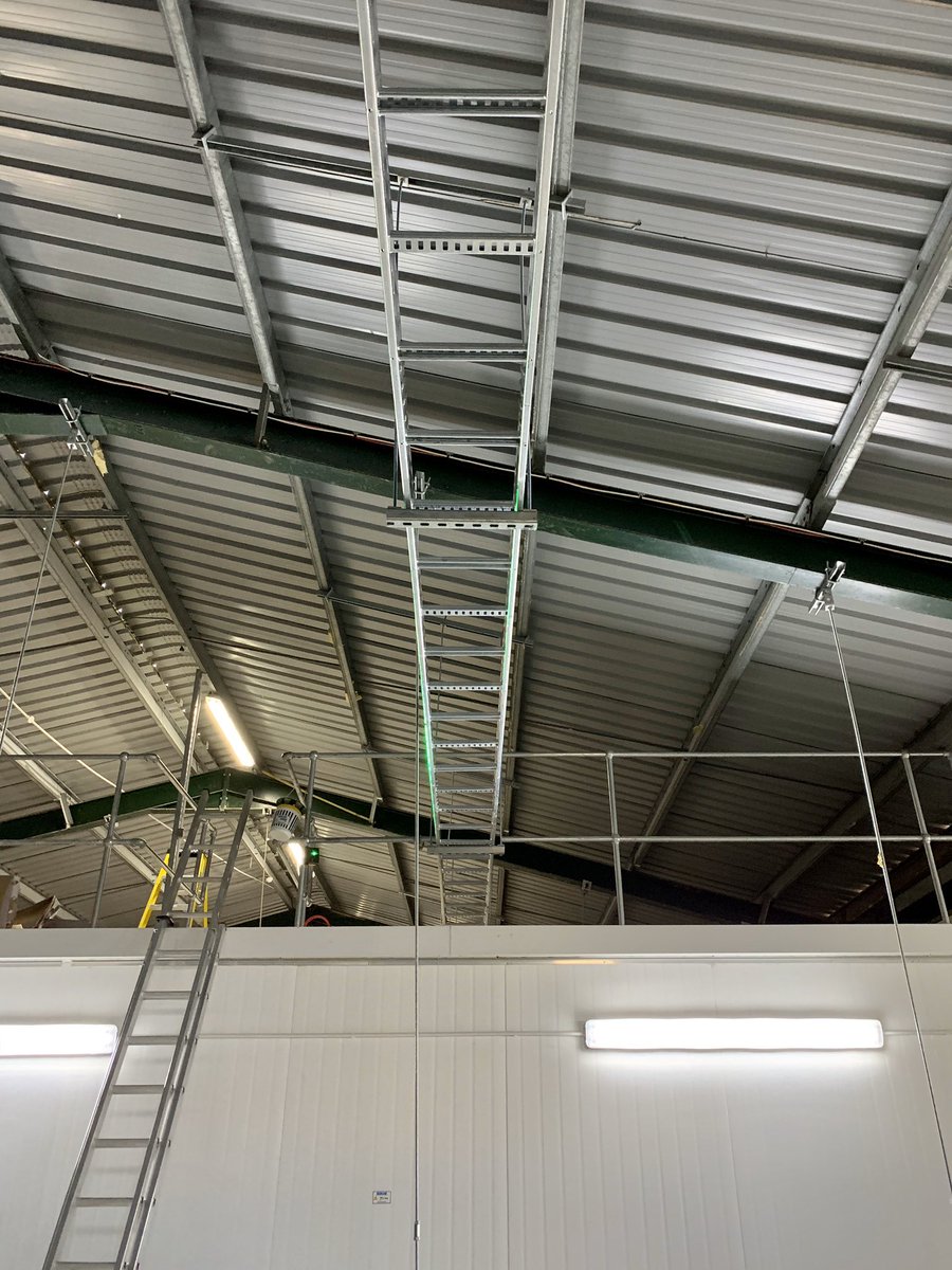 RangerElec's tweet image. Our team have been busy installing over 100 metres of ladder, ready to install a new sub main this week!

#NewInstall #Install #SubMain #TeamWork #Ladder #Electrician #Electricians #Cheshire