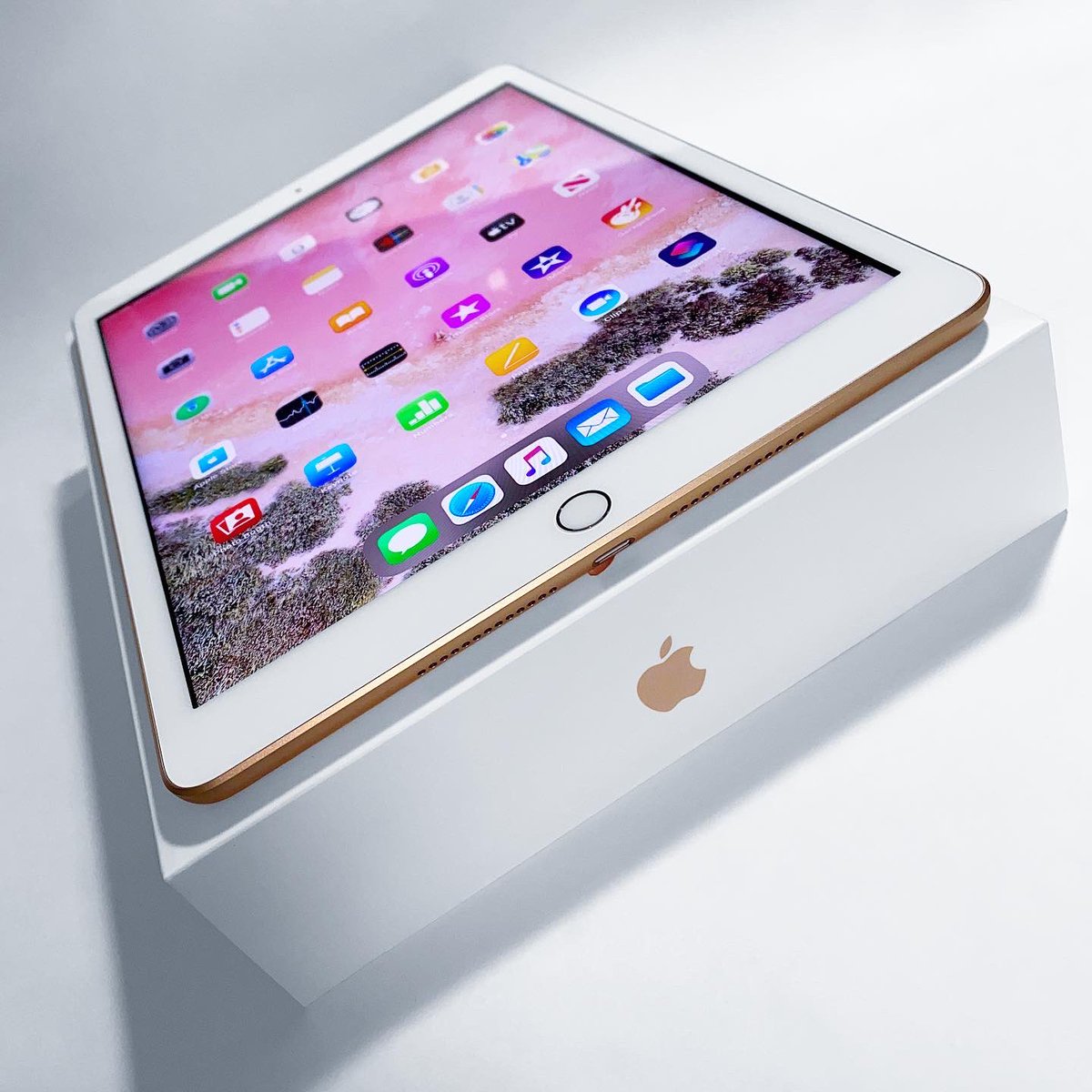 iCochiseTaylor's tweet photo. Latest addition to my Apple Collection the Apple iPad 7th Generation (128 GB/WiFi) in “Gold” color ! Beautiful addition on my 38th Birthday ! 🍎🍏📱💰🌹 #apple #ipad #ipad7thgeneration @tim_cook @cue @pschiller @Apple https://t.co/gFv9094lDQ