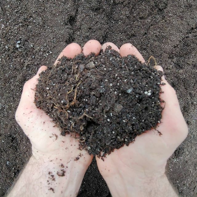 here's to getting our hands dirty!! this weather has us feeling all the spring vibes!!
.
.
#ffarmerffrench
#cookstowngreens ✌💚🌱 ift.tt/2Q0jyoF