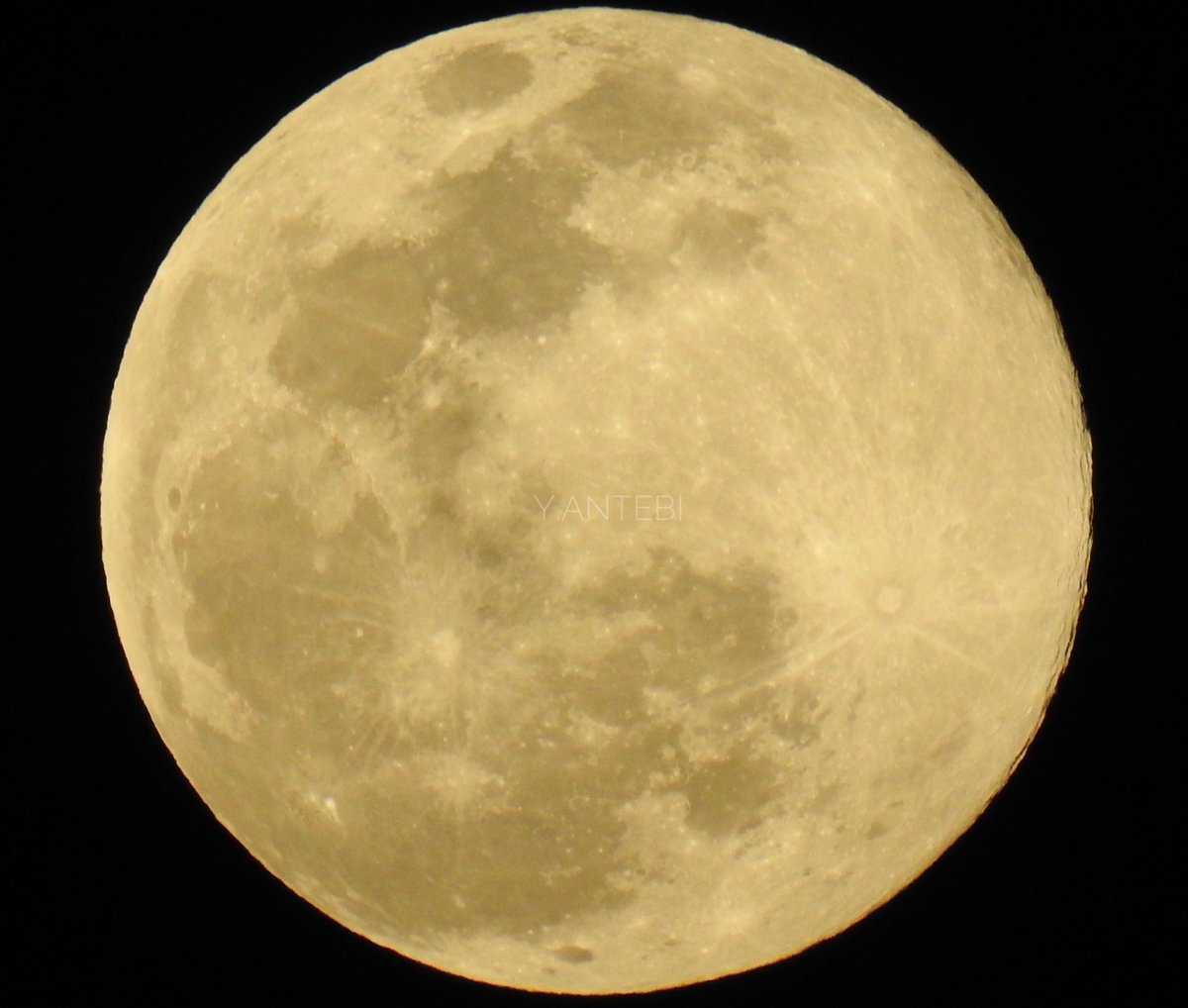 ace_pio's tweet photo. Insane #Moon tonight #supermoon #warmmoon #space #luna #astronomy https://t.co/LYgwZWxj5A