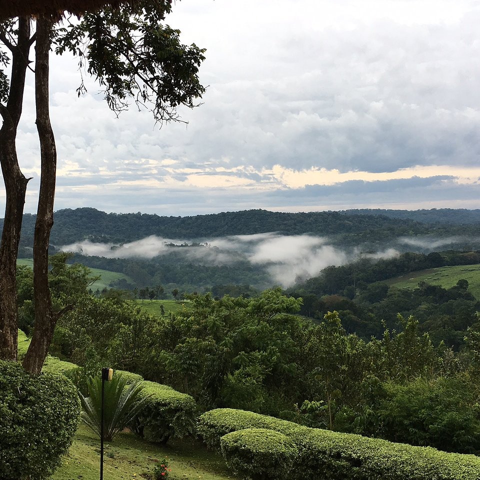 isungacommunity's tweet photo. A spectacular view of #Kibaleforest from #Isugacommunity.
#natureUganda #discover the beauty of Kibale National park with us.
https://t.co/LdlJWDjtB9
#coldsprings #Naturewalks #communitywalks #attractionsinuganda
#chimpanzeetracking #hiking https://t.co/iHqdVDoPNS
