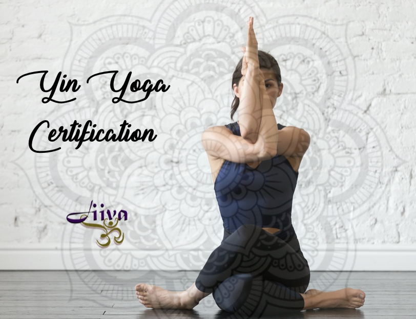 JiivaCenter's tweet photo. Yin Yoga Certification https://t.co/80bCThbF6g https://t.co/PPwDhE42zI