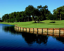 On The Tee Magazine tweet media