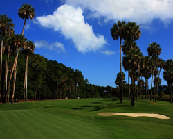 On The Tee Magazine tweet media