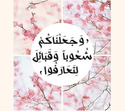 Adnanalkhateb (@adnanalkhateb1) on Twitter photo 