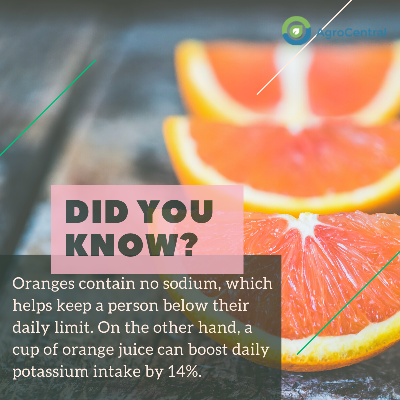 Oranges contain no sodium, which helps keep a person below their daily limit. On the other hand, a cup of orange juice can boost daily potassium intake by 14%.
