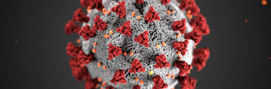 Association for Molecular Pathology tweet media