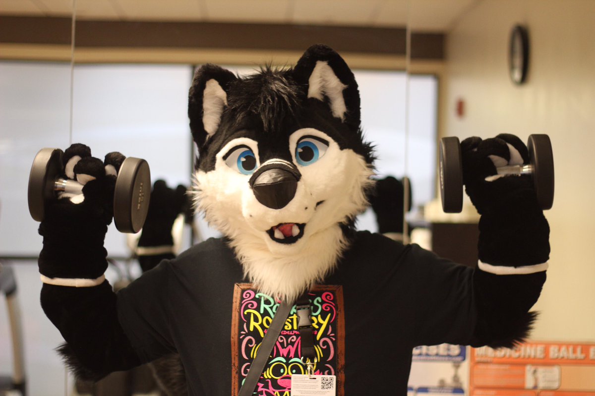 moonyskolf's tweet photo. ダンベル何キロ持てる? 

How Heavy Are The Dumbbells You Lift? #FursuitFriday https://t.co/Bu6mMMosRf