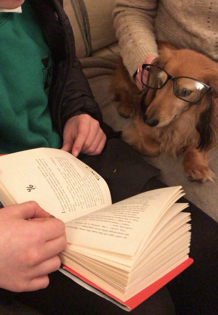 helsmorris1975's tweet photo. @RSch_Primary @RhayPrimaryHead @RhayDeputyHead @MissGJackson1 #petscaughtreading ๐ #woof #weareroundhay https://t.co/hNYVmTjVsx