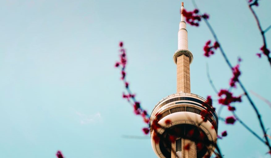 LibraryHotelCo (@libraryhotellhc) on Twitter photo Whether you're on Spring Break or March Break, bring the family to <a href="/hotelxtoronto/">Hotel X Toronto</a> for a fun-filled getaway, with tons to do in-house and around the city! #TipsForTravelers
blog.libraryhotelcollection.com/family-spring-… Whether you're on Spring Break or March Break, bring the family to <a href="/hotelxtoronto/">Hotel X Toronto</a> for a fun-filled getaway, with tons to do in-house and around the city! #TipsForTravelers
blog.libraryhotelcollection.com/family-spring-…