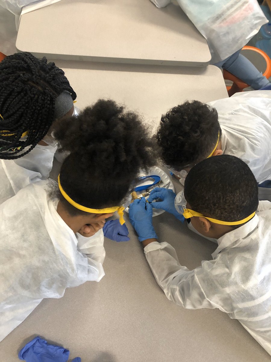 miss_fry3's tweet photo. Biology club dissecting frogs today!! @HMSANTAFE @HMC1Proud @clmerkerson @TeacherMe7 https://t.co/i8dhYw6JIY