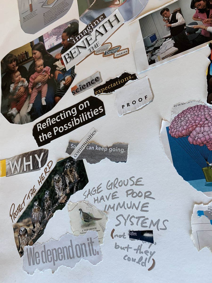 joshsilberg's tweet photo. Collaging with @artthescience is a stellar lunchtime creative activity 

#SymbiosisBC #STEAMbc #scicomm https://t.co/qkUAFXRI2W