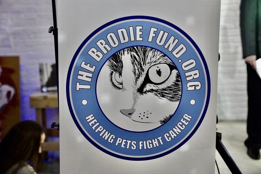 OmegaHIPS's tweet image. "And one final thank you to the entire team at Omega for making all of our signs for events and conventions. We look so much more polished &amp;amp; professional thanks to you!
We are asked at every event, large &amp;amp; small, who makes our signs!" @TheBrodieFund #PrintMarketing #PrintSignage